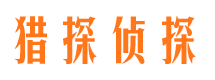 江东市私家侦探